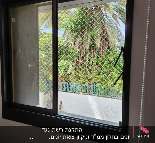 חלון עם רשת למניעת כניסת יונים